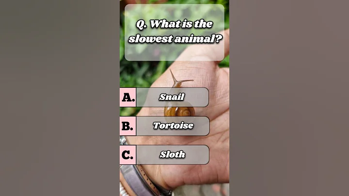 What is the slowest animal? #quiz #usaquiz #funquiz #brainteaser #usafacts #shorts