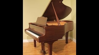 Yamaha C2 58 Grand Piano 2004 Satin American Walnut