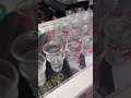Paradise LYFE 🌴 Shot Glasses #paradiselyfe #merch #shots #shotglass Mp3 Song