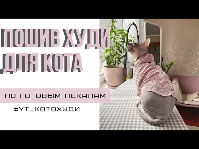 Переходим к подробному пошиву одежды для любимого котика