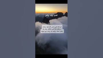سورة الكوثر  #سورة_الكوثر #المصحف #تلاوة #القرآن_الكريم #اللهم_صل_وسلم_على_نبينا_محمد
