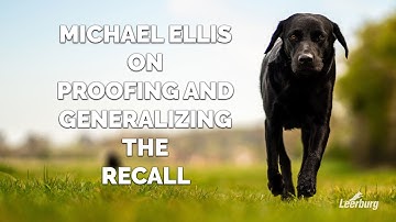 Michael Ellis on Proofing and Generalizing The Recall