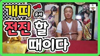 [개띠운세]2020년10월 용한무당 신바람이법사 칠성암이 공수 주는 띠별운세 중 개띠 10월운세+다안다TV