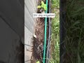 Simple DIY Drip Irrigation For The Garden