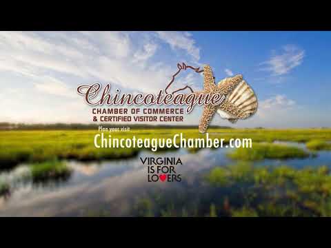 Video: Chincoteague Island, Virginia: de complete gids