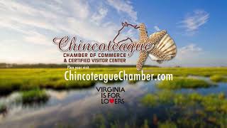 Plan Your Visit to Beautiful Chincoteague Island, Virginia