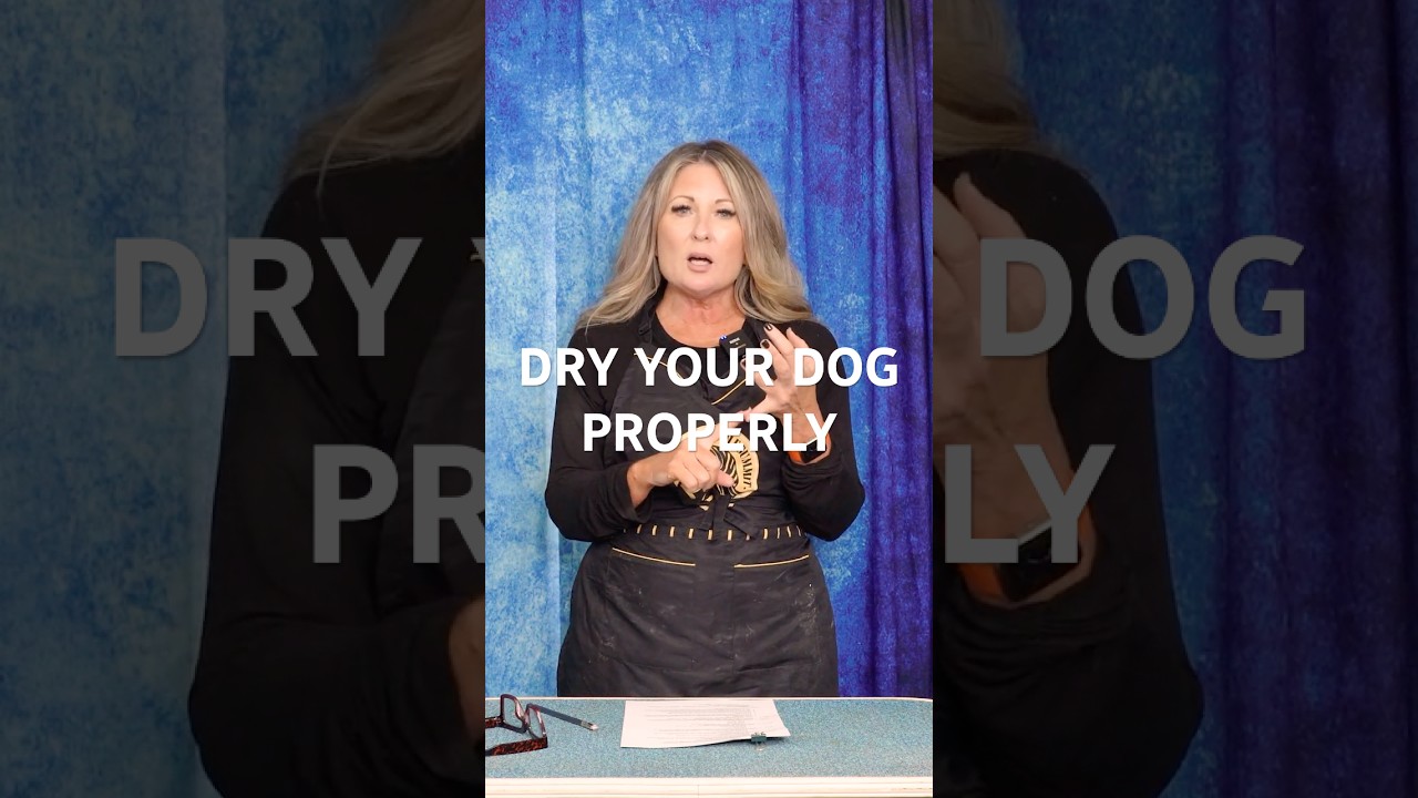 Know How to Properly Dry Your Dog 