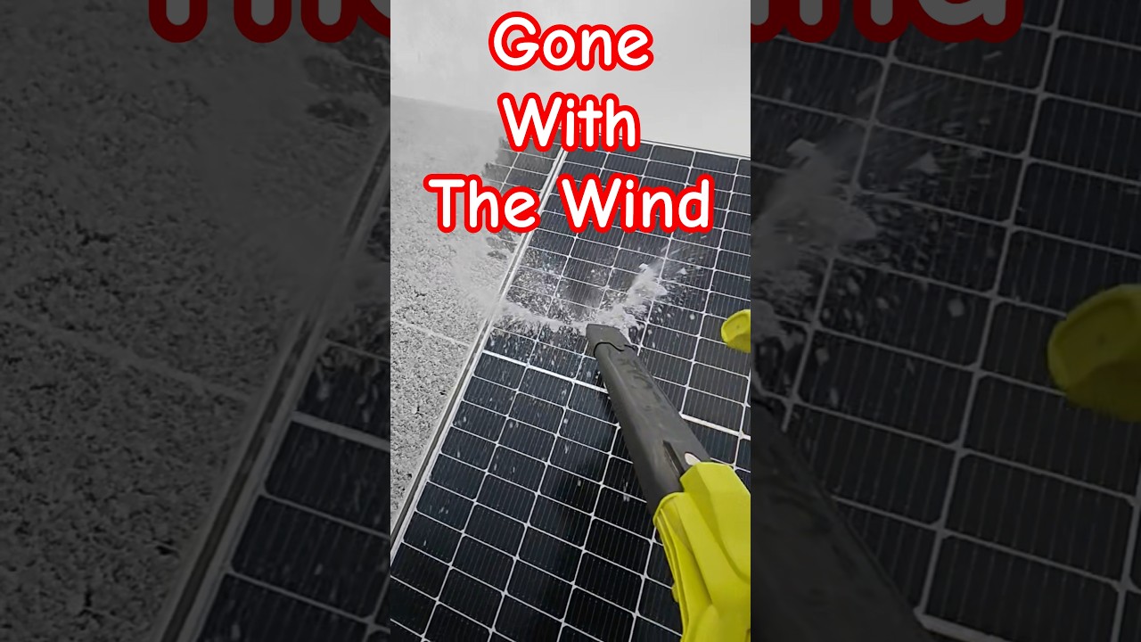 Унесённые ветром 