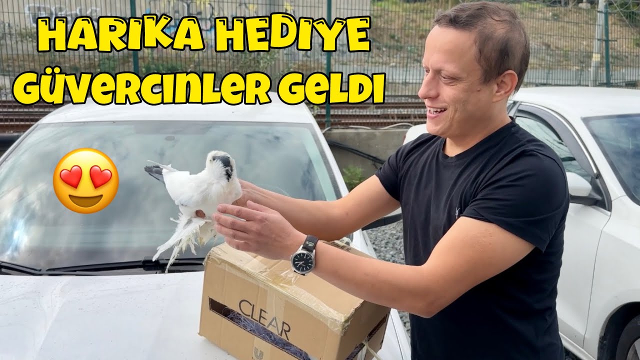  🎁 YURT DIŞI HEDİYE GÜVERCİNLER GELDİ 😍 KARANTİNA VE BULGAR HAPI 🕊️ Taklacı Süs Güvercin