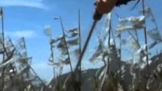 shadowless sword with love u song