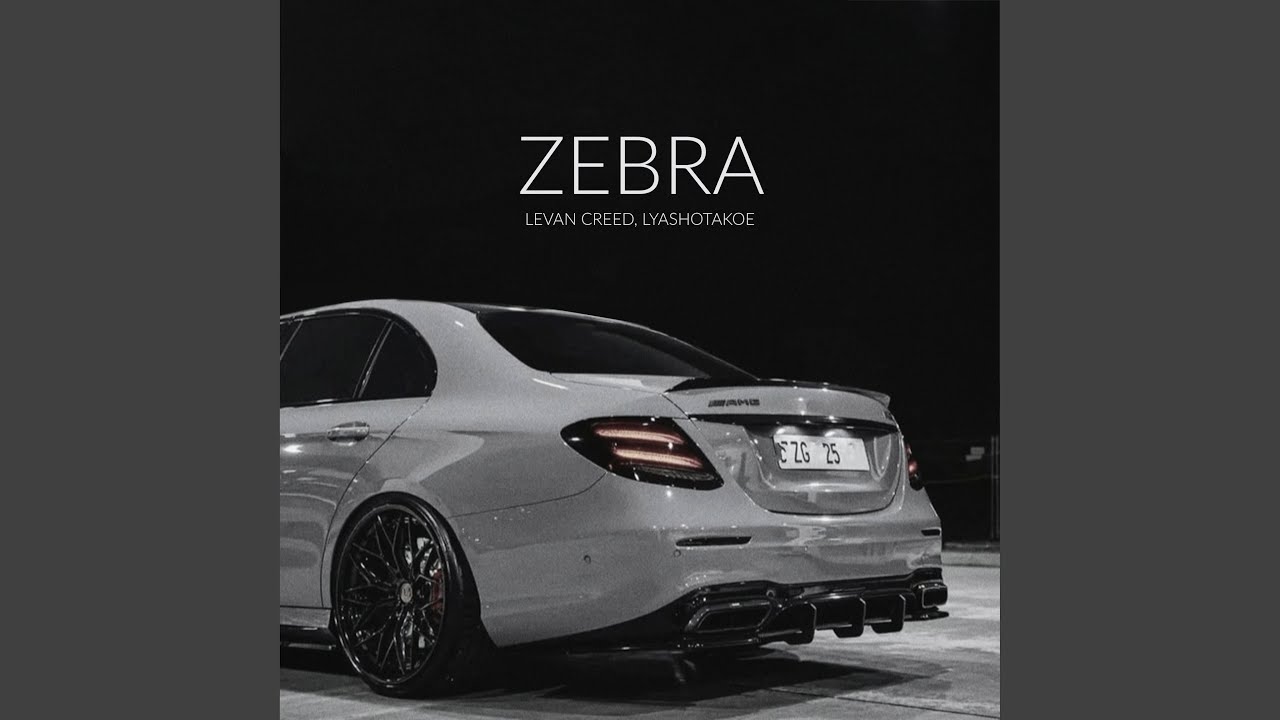 Mira ZEBRA en YouTube Mira ZEBRA en YouTube