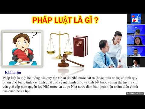 Video: Mức hỗ trợ và kháng cự. Làm thế nào để giao dịch các mức hỗ trợ và kháng cự một cách chính xác?