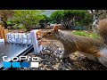 GoPro Awards: The Squirrel Feeding Machine