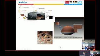 ABPP. Programa Biogás de Africa