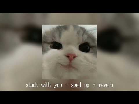 stuck with you - Ariana Grande & Justin Bieber || sped up + reverb