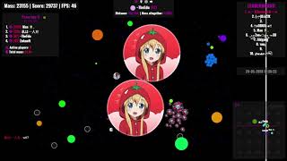 Agario | Win Compilation | #1