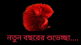 নতুন বছরের শুভেচ্ছা এসএমএস  | Happy New Year Bangla SMS |  শুভ নববর্ষ |নতুন বছরের শুভেচ্ছা স্ট্যাটাস