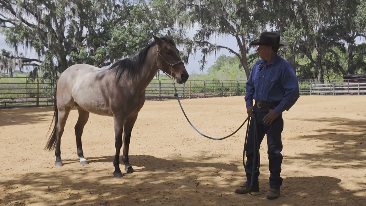 Episode 1, The Importance of Ground Control