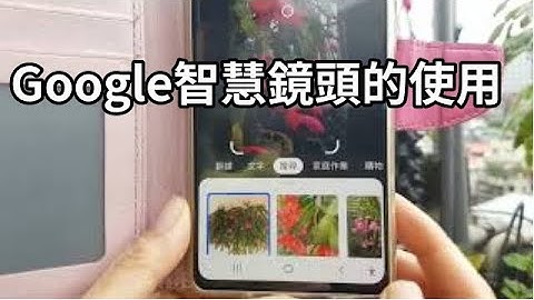 好用！免費辨識植物的App Google智慧鏡頭 - 天天要聞