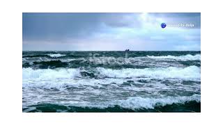 Finding Peace in the Storm: A Journey of Faith Net Worth