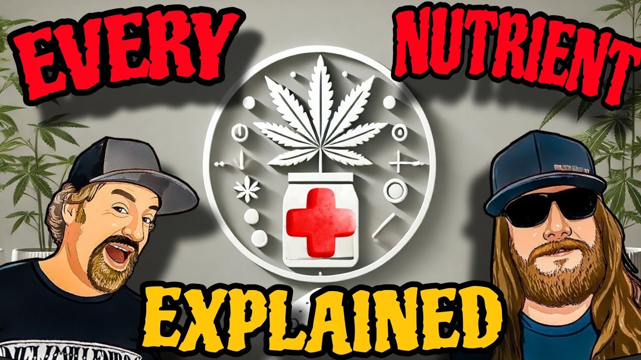 What Your Plants Needs: The Complete Guide to Cannabis Nutrients