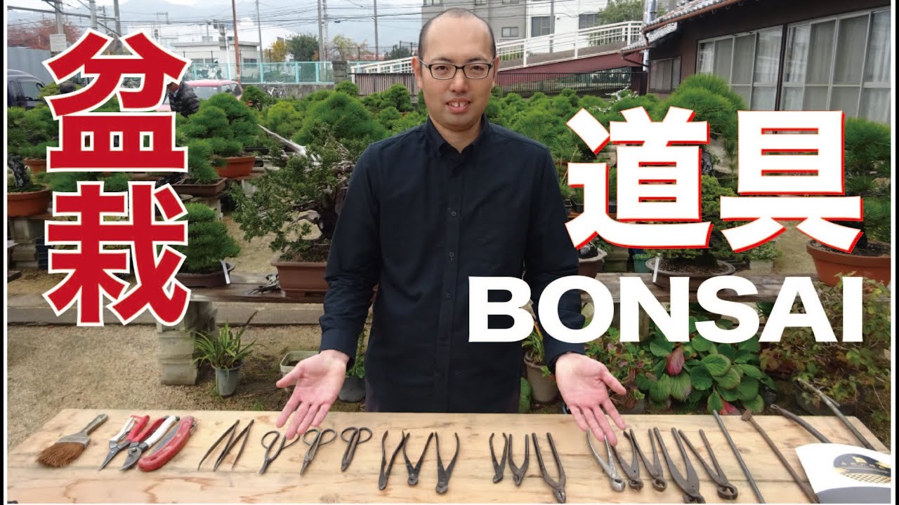 最初に揃えて欲しい道具を紹介します【盆栽・初心者講座】