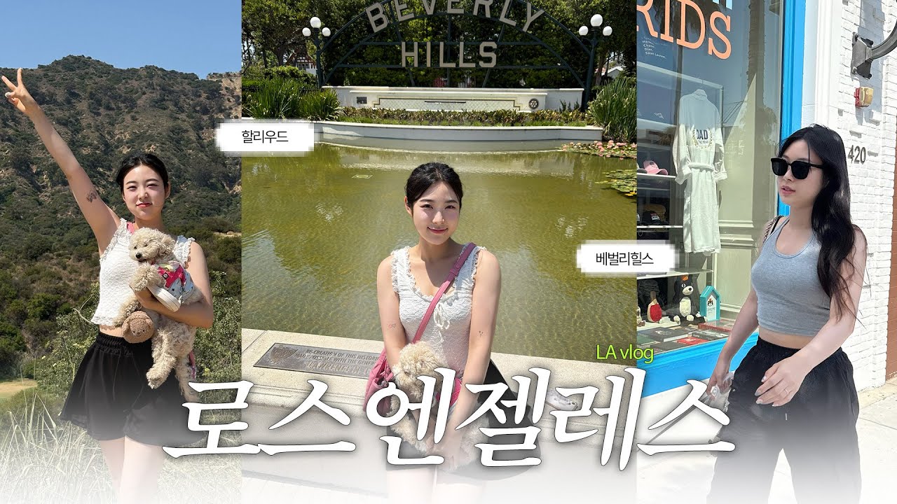 🇺🇸 강아지와 LA 여행 어디까지 가봤니? 할리우드 사인부터 그리피스 천문대 야경까지 | 강아지랑 미국여행