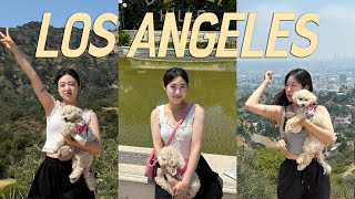 🇺🇸 강아지랑 미국여행 | LA 2탄 | 반려견동반식당, 할리우드 사인, 명예의 거리, 그리피스 천문대 야경, 런연캐년