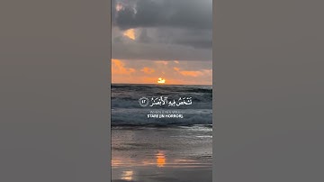 وَلَا تَحْسَبَنَّ ٱللَّهَ غَٰفِلًا عَمَّا يَعْمَلُ ٱلظَّٰلِمُونَ || #سورة_إبراهيم