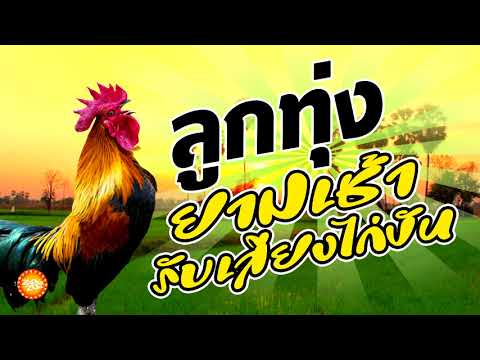 เพลงลูกทุ่งยามเช้ารับเสียงไก่ขัน