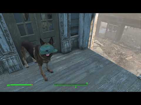 Fallout 4 Dogmeat Face Glitch
