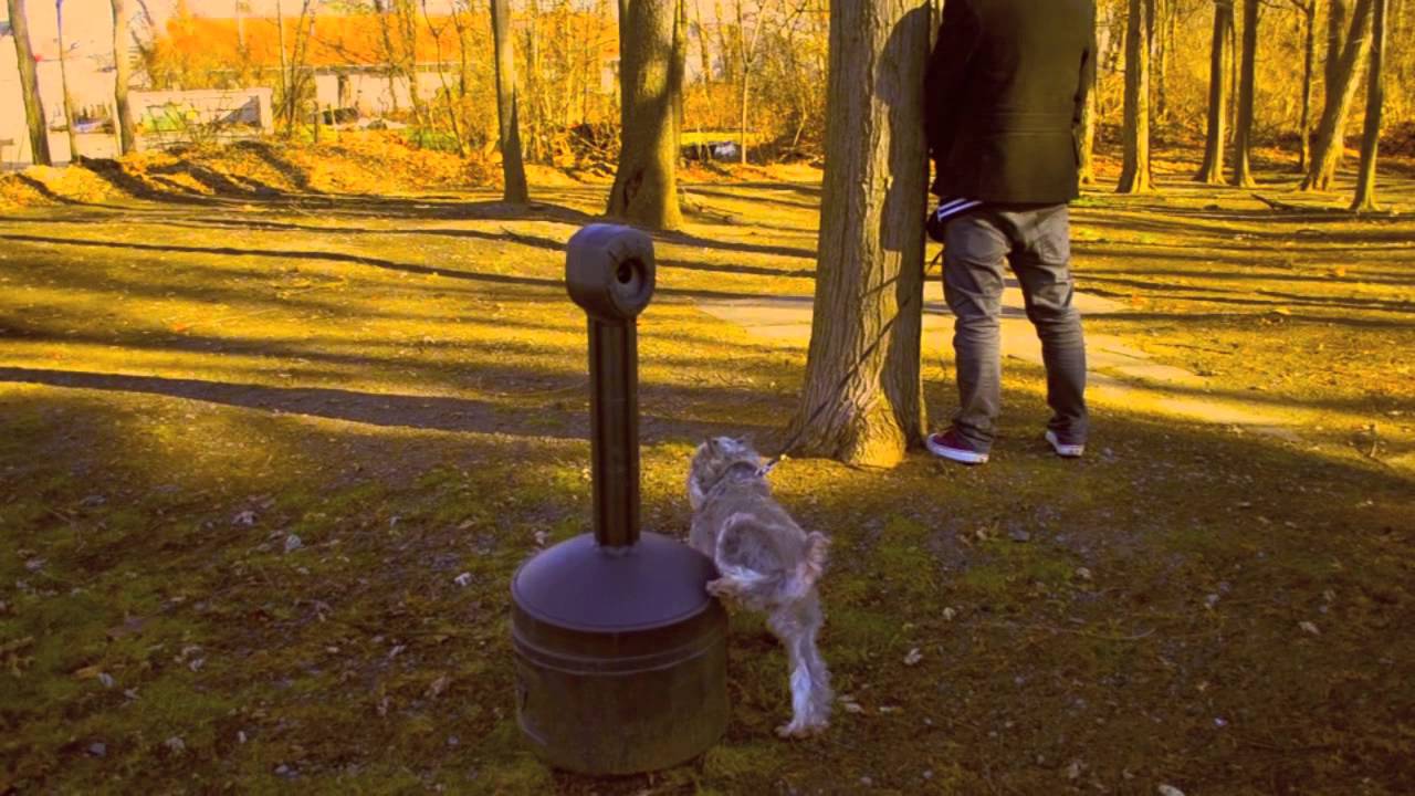 Upgrade - Schmucky Thompson (Official Music Video)