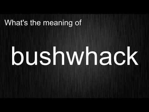 Video: Ce înseamnă bushwhack?
