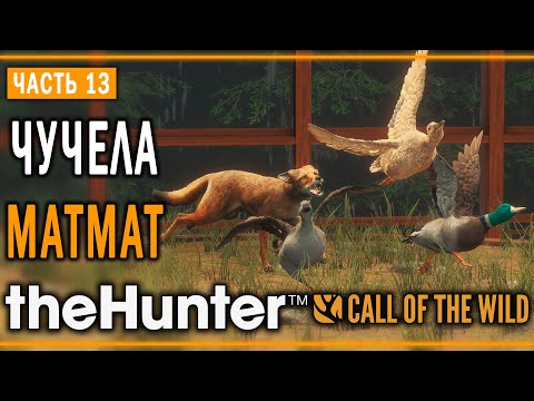 Видео: theHunter Call of the Wild #13 🦆 - Резкий Взлёт - Кoмпозиции из Чучeл