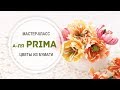 Мастер-класс &quot;Цветы а-ля Prima&quot;