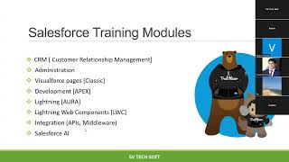Salesforce Online Training from SV Tech Soft screenshot 5