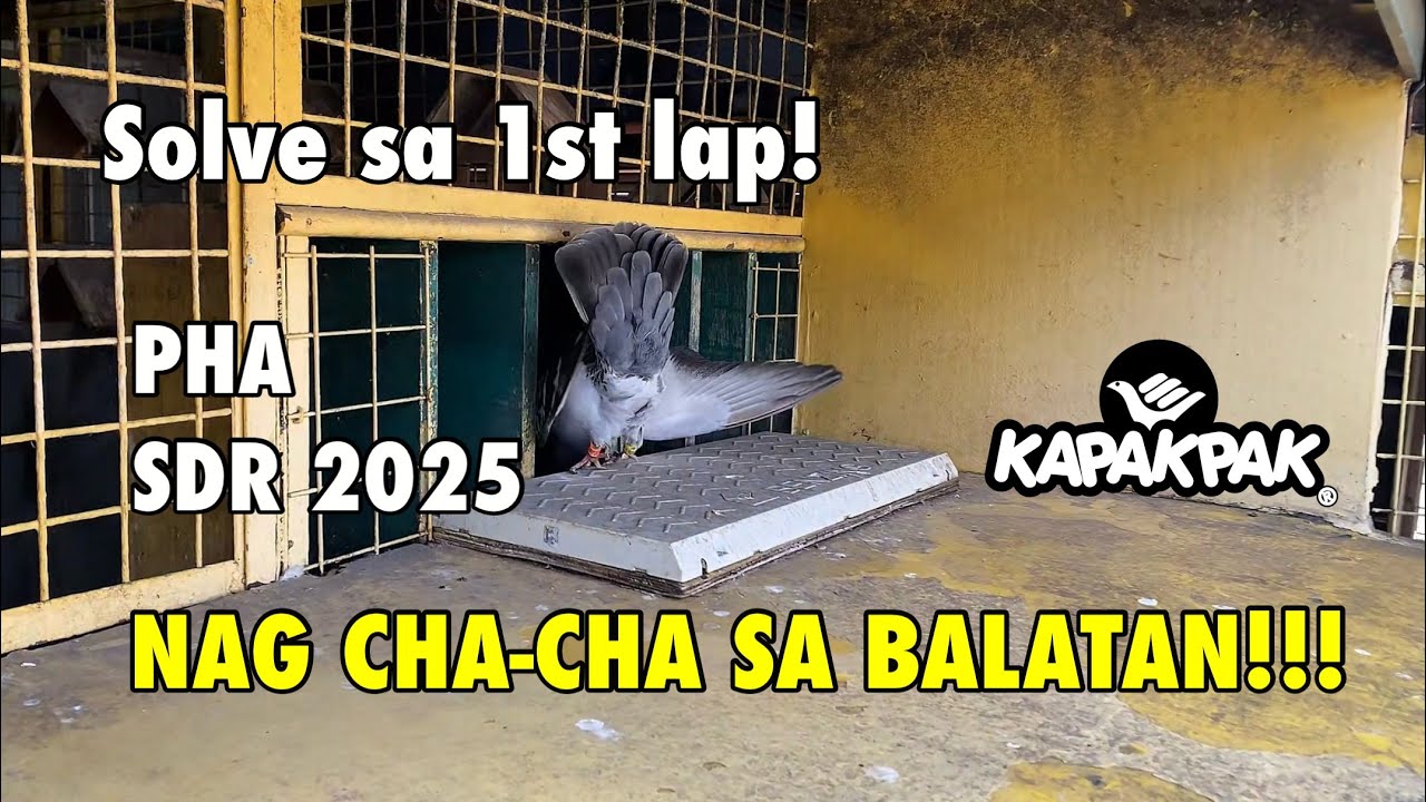 1st Lap PHA Balatan CamSur 