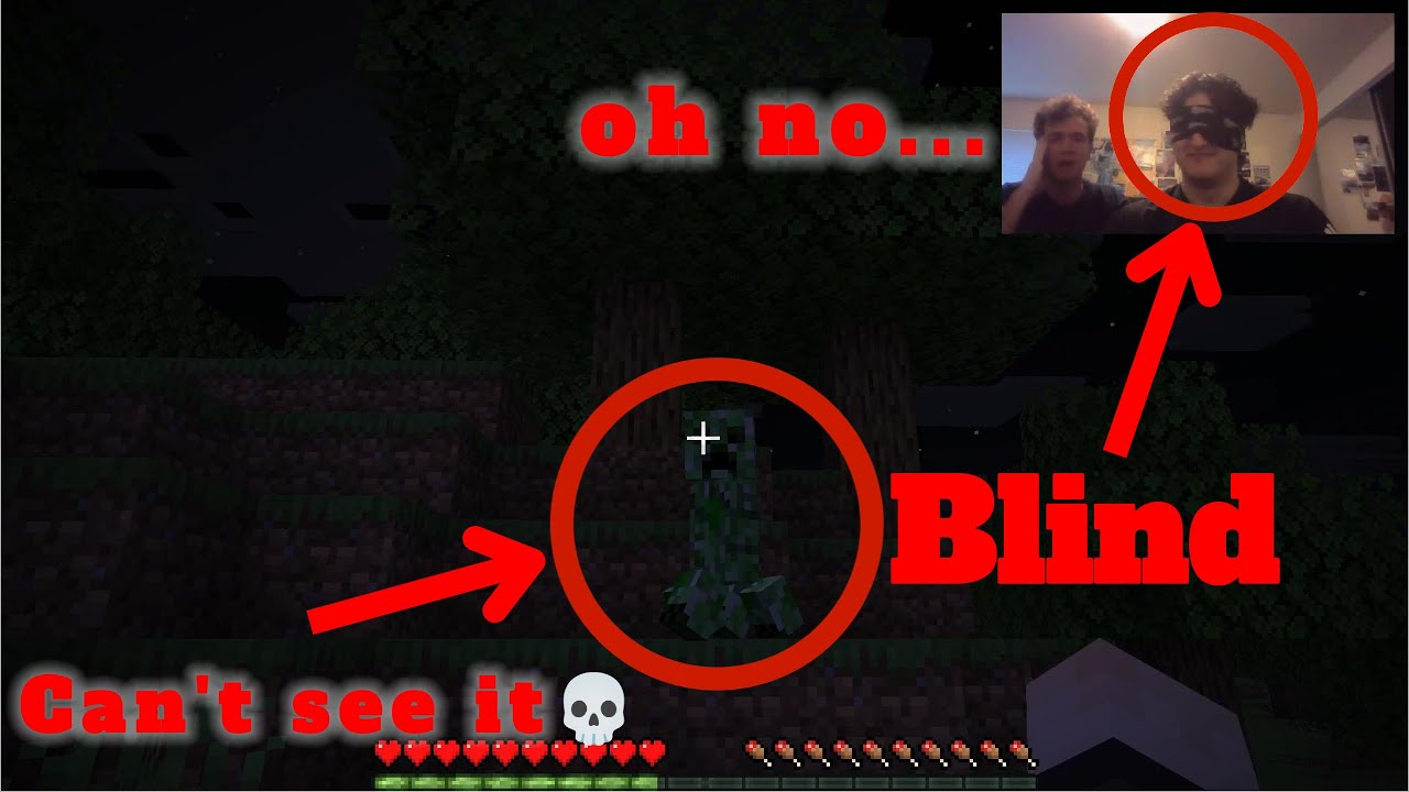 Minecraft but one of us is blindfolded