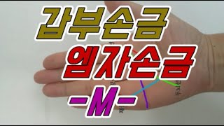 엠자손금 갑부손금이라는 엠자손금은 과연 어떤 손금인가?  M자손금 부자손금 재물운손금보기