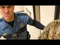 Hands-On Cop in Mississippi Gets a Full First Amendment Education From His Sergeant!