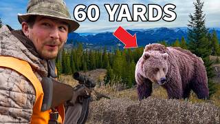 We had a GRIZZLY BEAR ENCOUNTER 😳