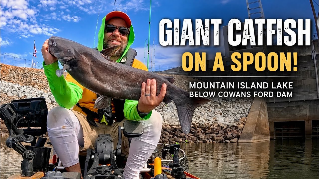 GIANT Catfish on a Spoon?! Tough Summer Bass Fishing Below Cowans Ford Dam