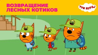 Три кота | Сезон 4 | Возвращение лесных котиков