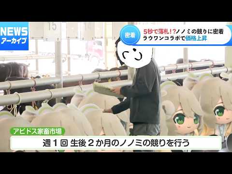 【NEWSアーカイブ】5秒で落札！？ノノミの競りに密着【ブルアカMAD】