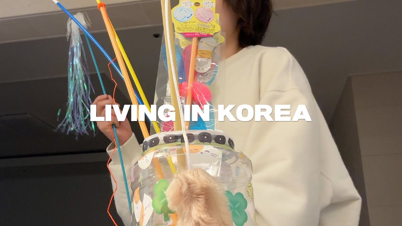 living in Korea | a long productive day | work, house chores, coffee, driving, and cat life
