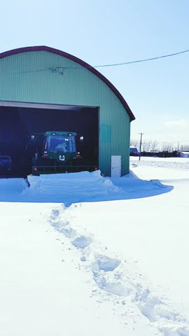 モンスター級 トラクター で除雪をやってみたよ♪Snow Removal !! #shorts　【トラクター】