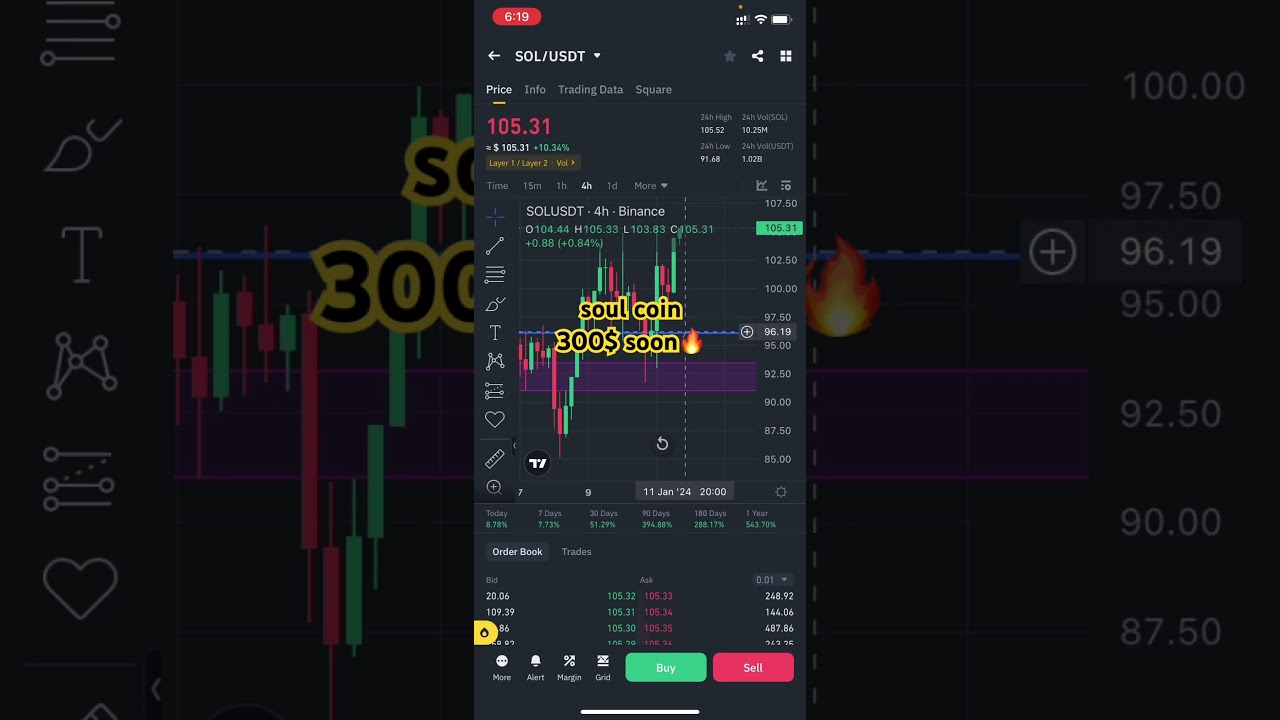 Soul coin price prediction | 300$ soon bullrun |