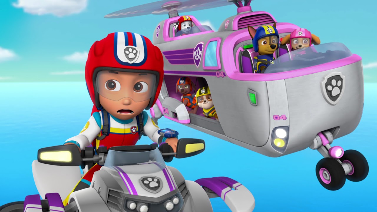 best turtle starter kit