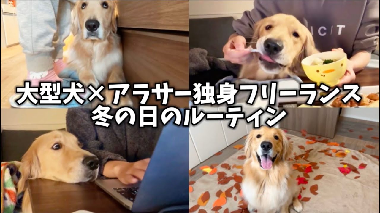 【起きてから寝るまでルーティン】【大型犬✕アラサー独身フリーランス】