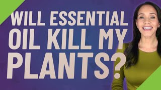 Will Essential Oil Kill My Plants?